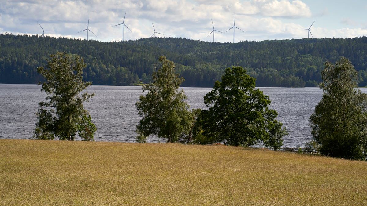 Harnessing the Future: An In-Depth Look at Renewable Energy Technologies Advancing in the United States