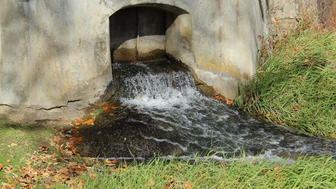 Comprehensive Guide to Finding Reliable Basement Water Removal Near Me