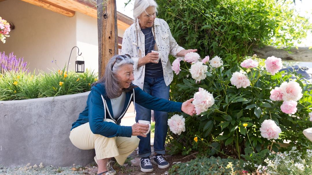Exploring Retirement Living Options for Seniors: A Comprehensive Guide