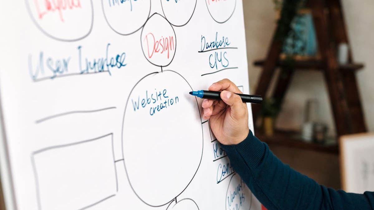 Empowering the Future: Comprehensive Digital Skills Training for Americans