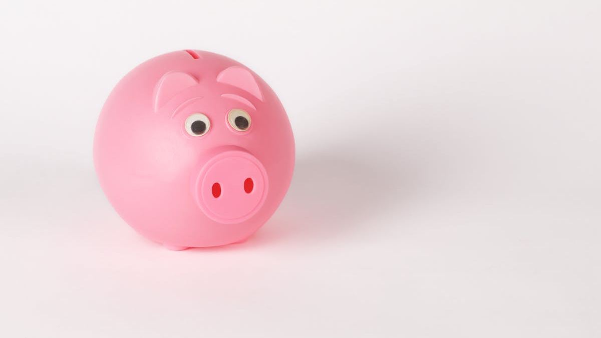 The Ultimate Guide to Choosing the Best Interest Accounts in the United States