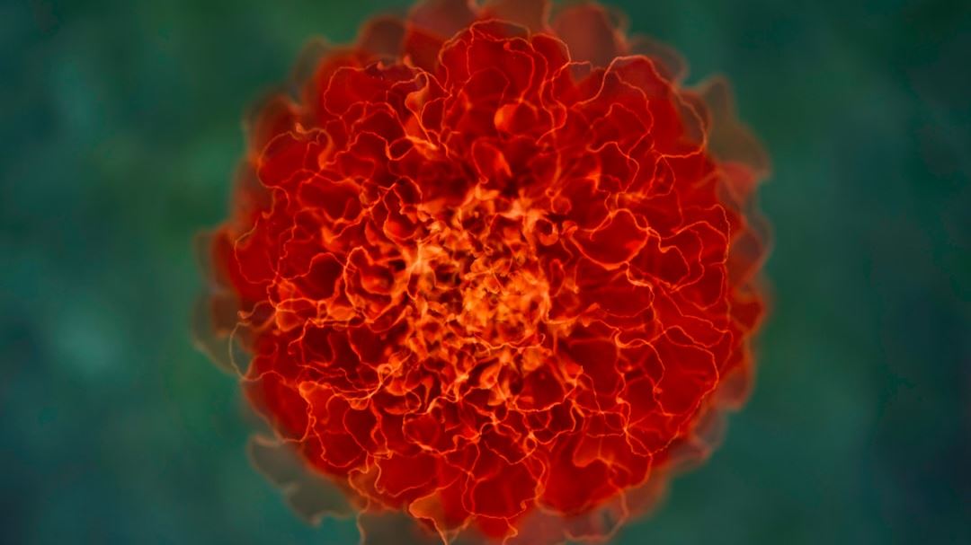 Understanding Non-Small Cell Lung Cancer: A Comprehensive Guide for Patients and Caregivers