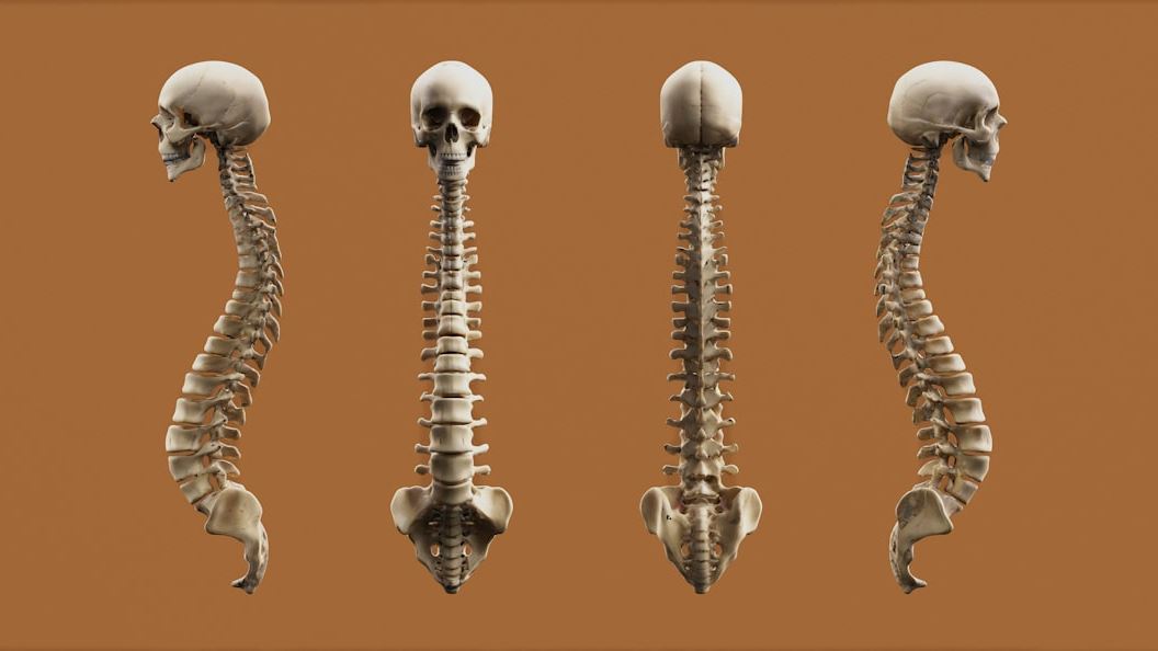 Understanding SMA Symptoms: A Comprehensive Guide to Early Detection and Management