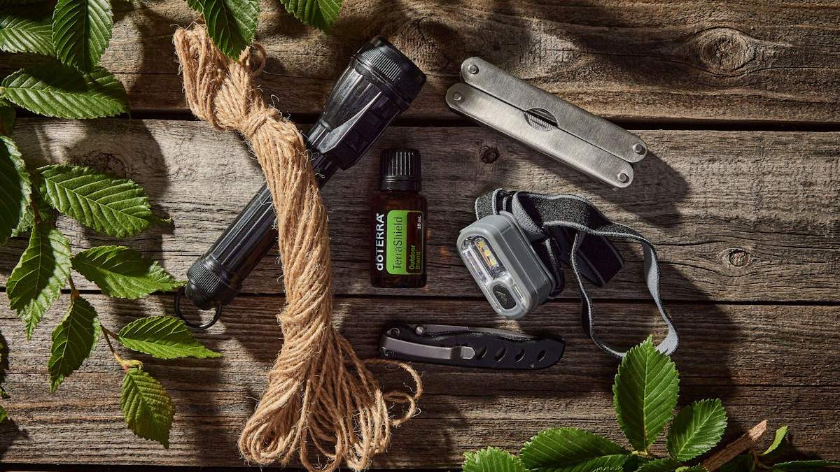 The Ultimate Guide to the Best Plants Keep Mosquitoes Away Naturally in the United States