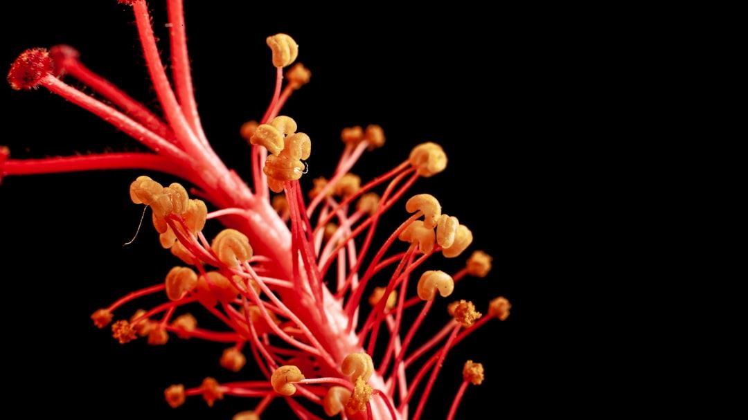 Understanding the Signs of Colon Cancer: A Comprehensive Guide to Early Detection