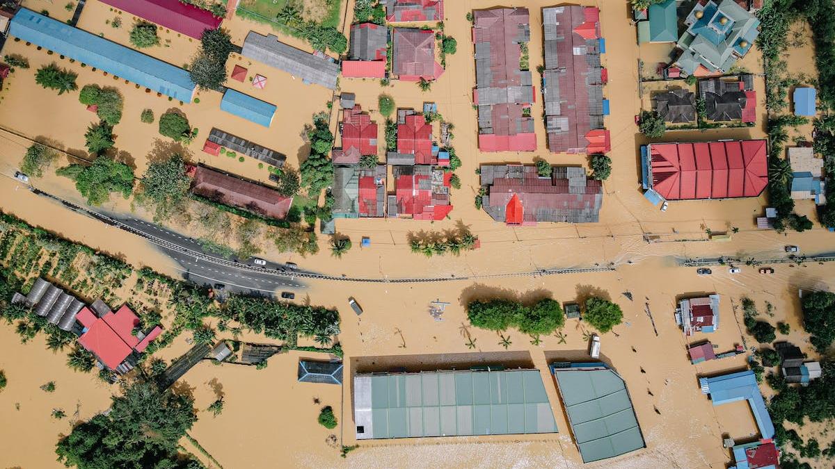 Expert Water Damage Repair Near Me: Your Comprehensive Guide to Fast and Effective Restoration