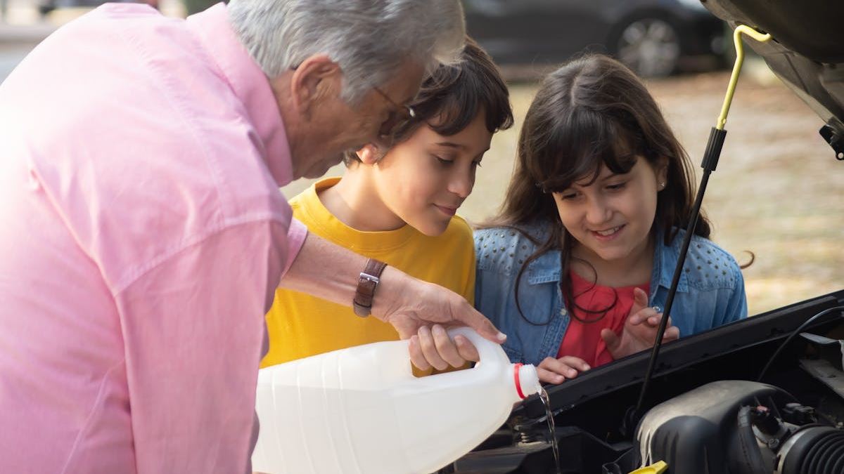 Comprehensive Guide to Choosing the Best Basement Water Mitigation Companies in the United States