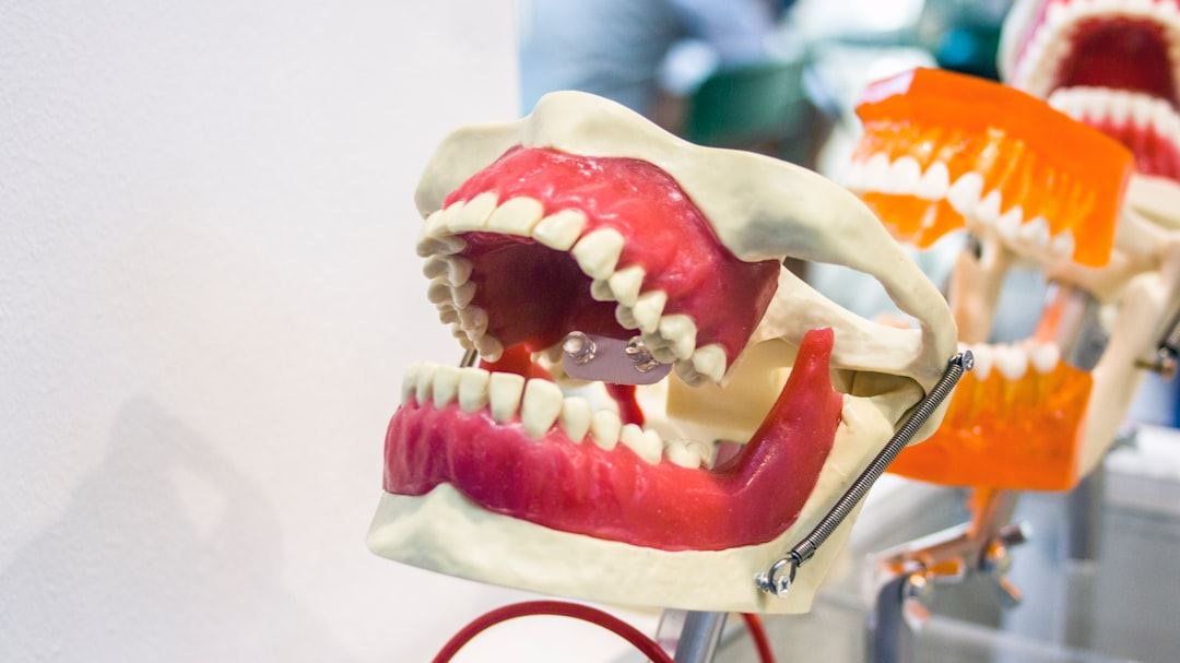 A Comprehensive Guide to Understanding Dental Insurance Plans in the United States