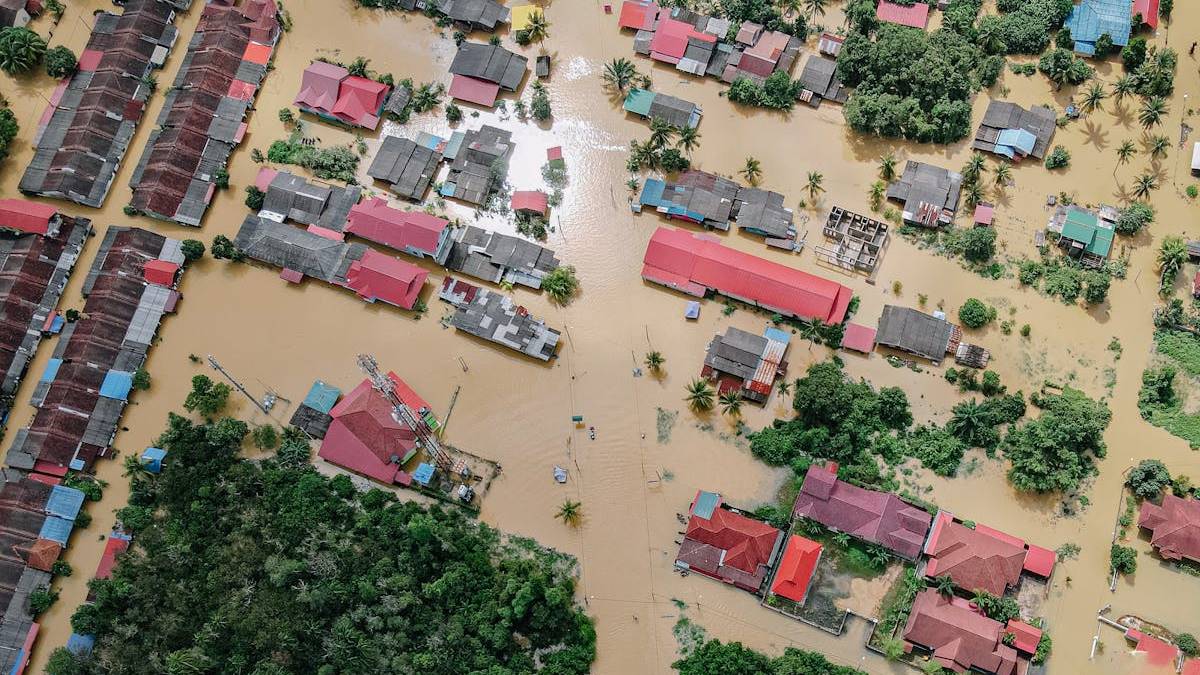 Comprehensive Guide to Water Damage Services: Protecting Your Home and Peace of Mind