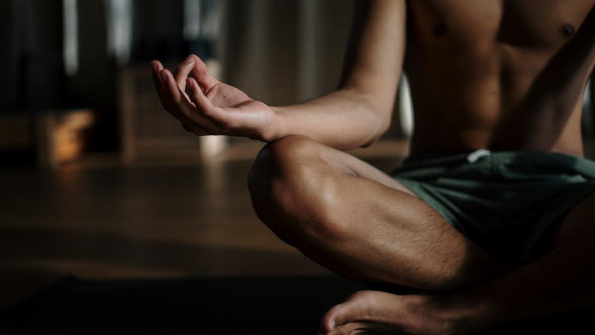 Understanding the Prostate Gland: A Comprehensive Guide to Men's Health