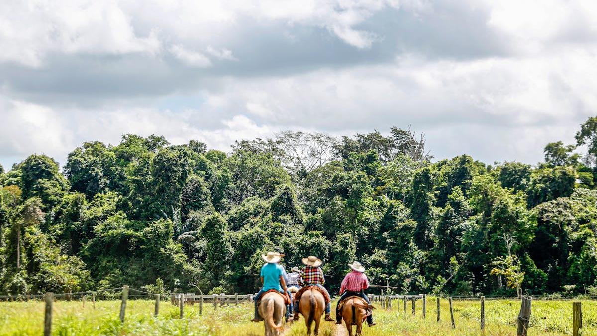 Exploring the Spirit of Ecotourism: A Sustainable Approach to Discovering the United States