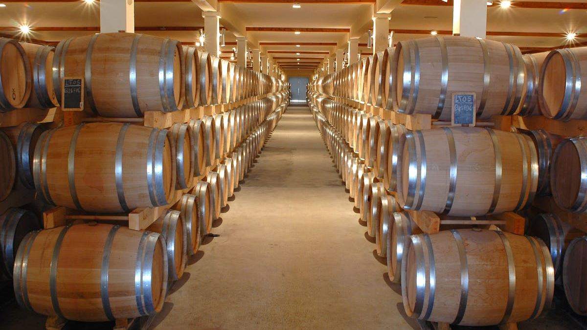Comprehensive Guide to Water Basement Repair Near Me: Solutions, Strategies, and Expert Tips