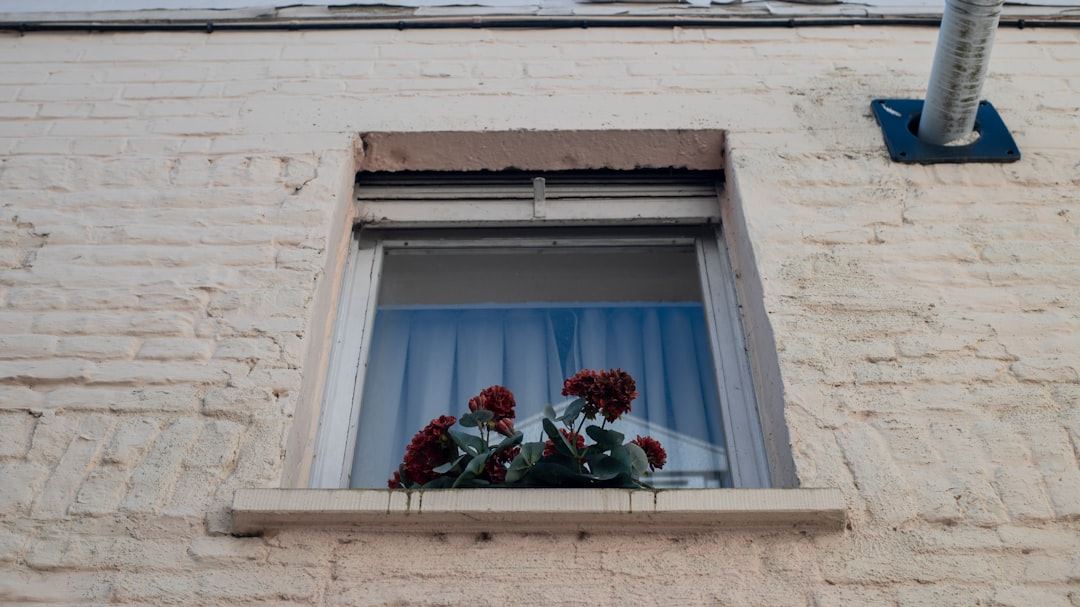 Your Ultimate Guide to Finding Reliable Window Replacement Near Me in the United States