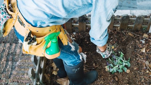 Comprehensive Guide to Sewage Damage Cleanup: Protecting Your Property and Health
