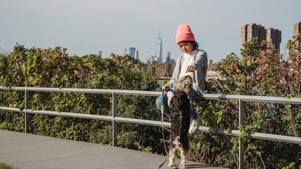 The Ultimate Guide to Choosing the Best Pet Insurance in NY for Your Furry Friend