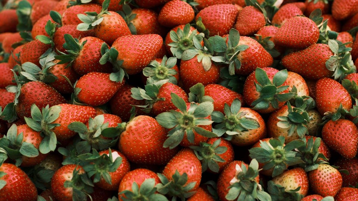 Foods to Avoid Gout: A Comprehensive Guide to Managing Your Diet