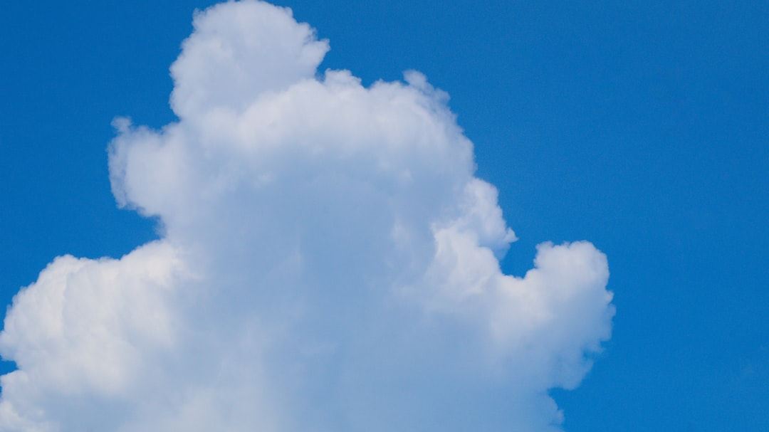 The Ultimate Guide to the Best Cloud Backup Solutions for Small Businesses in the United States