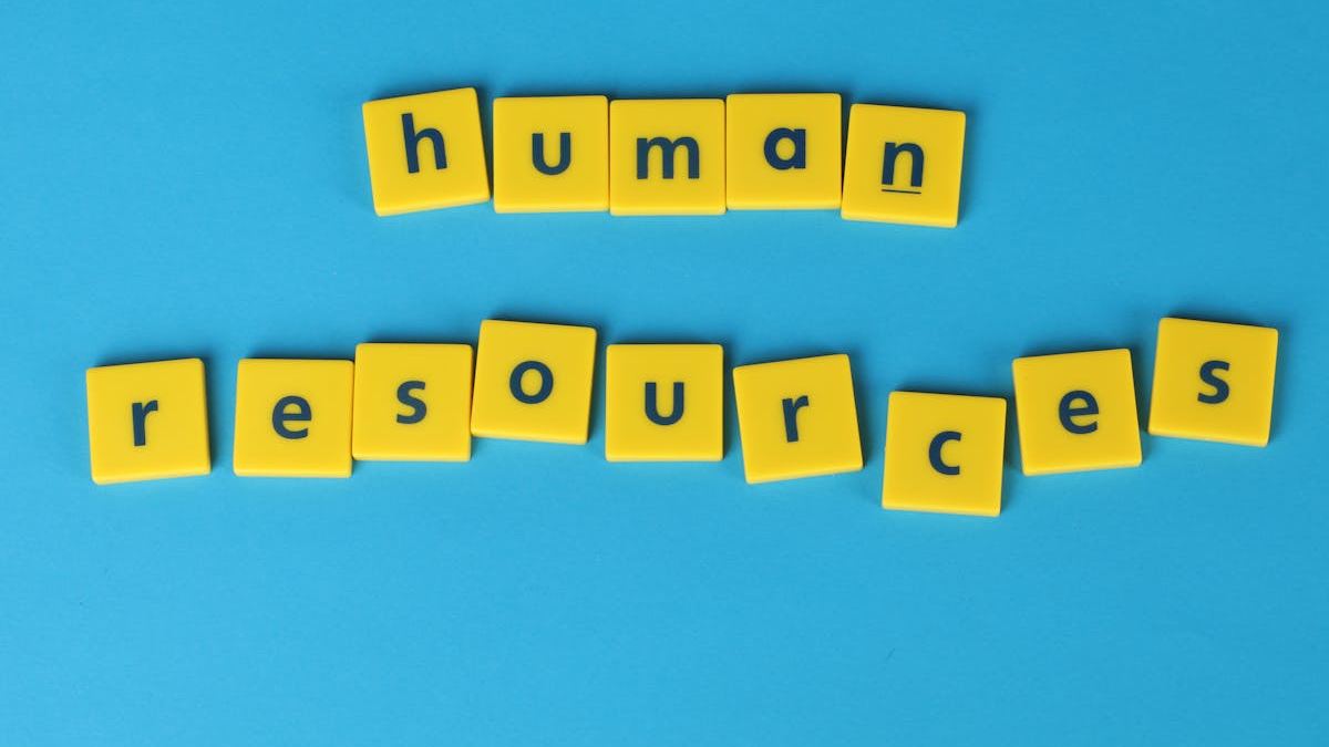 Transforming HR Management in the U.S.: The Impact of AI HR Software