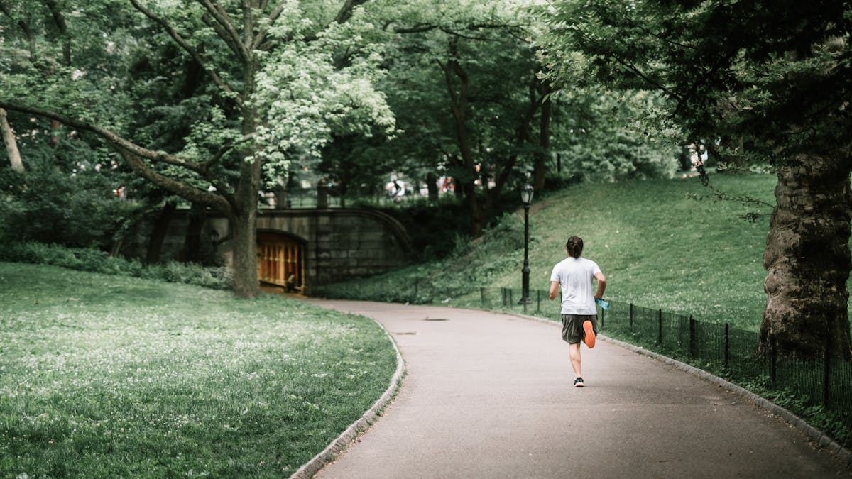 A Comprehensive Guide to Choosing the Right Health Insurance Plans in the United States