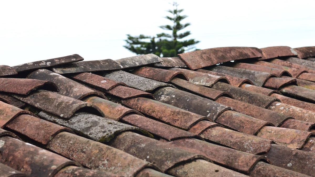 Finding the Best Roofing Company in the United States: An Expert's Guide to Quality and Reliability