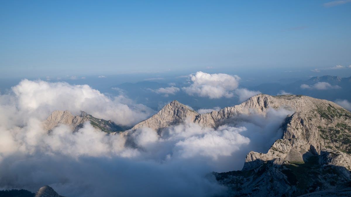 Unlocking the Potential of the Highest Dividend Paying ETF: A Comprehensive Guide for Investors