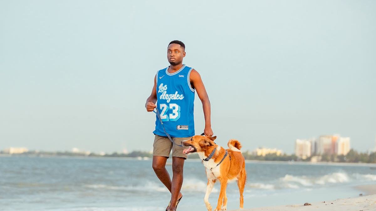 The Ultimate Guide to Popular Pet Insurance Options in the United States