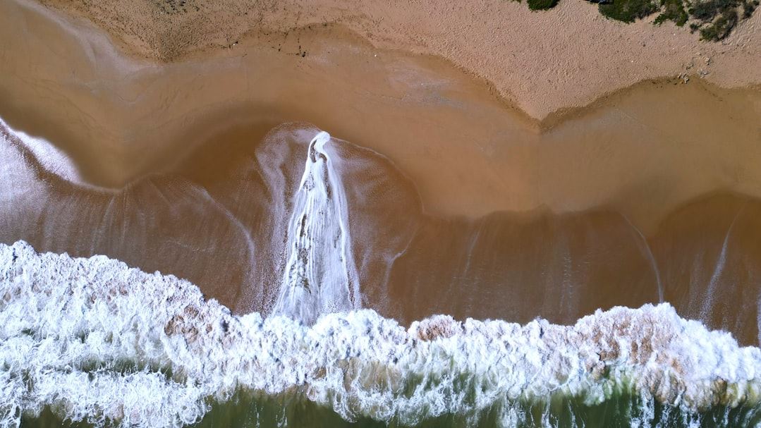 Comprehensive Guide to Water Mitigation Near Me: Protecting Your Home from Water Damage