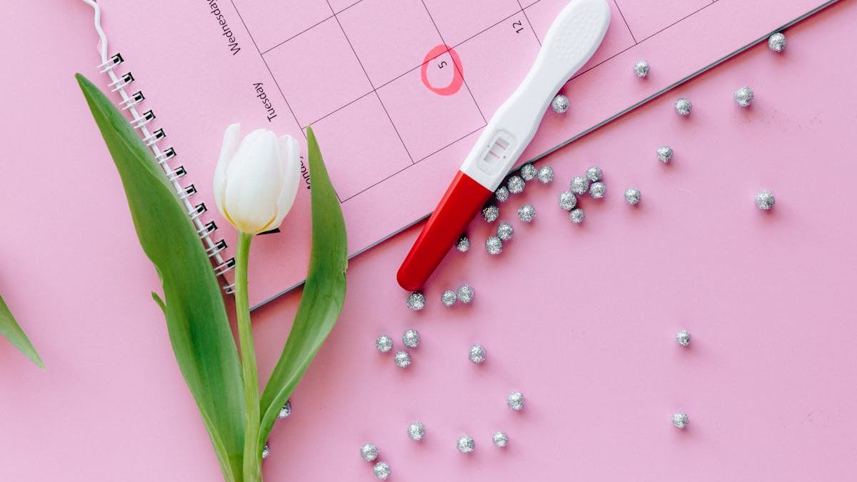 The Ultimate Guide to Finding the Best Life Medical Insurance in the United States