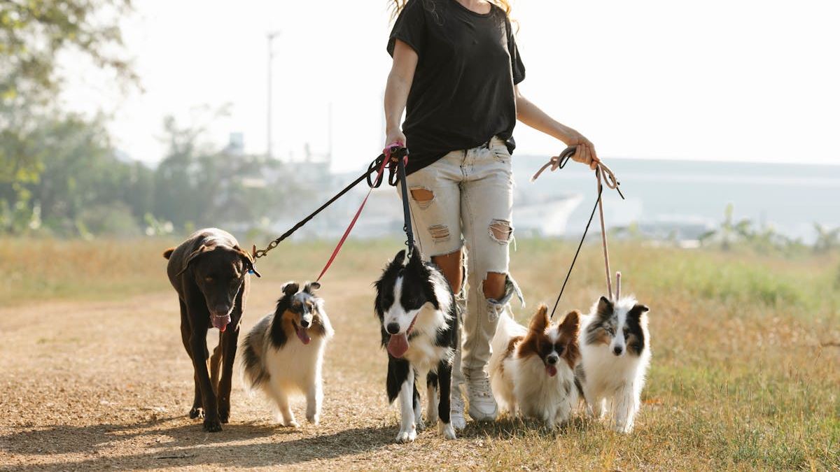 The Ultimate Guide to Pet Insurance for Multiple Pets: Ensuring Your Whole Family Is Covered