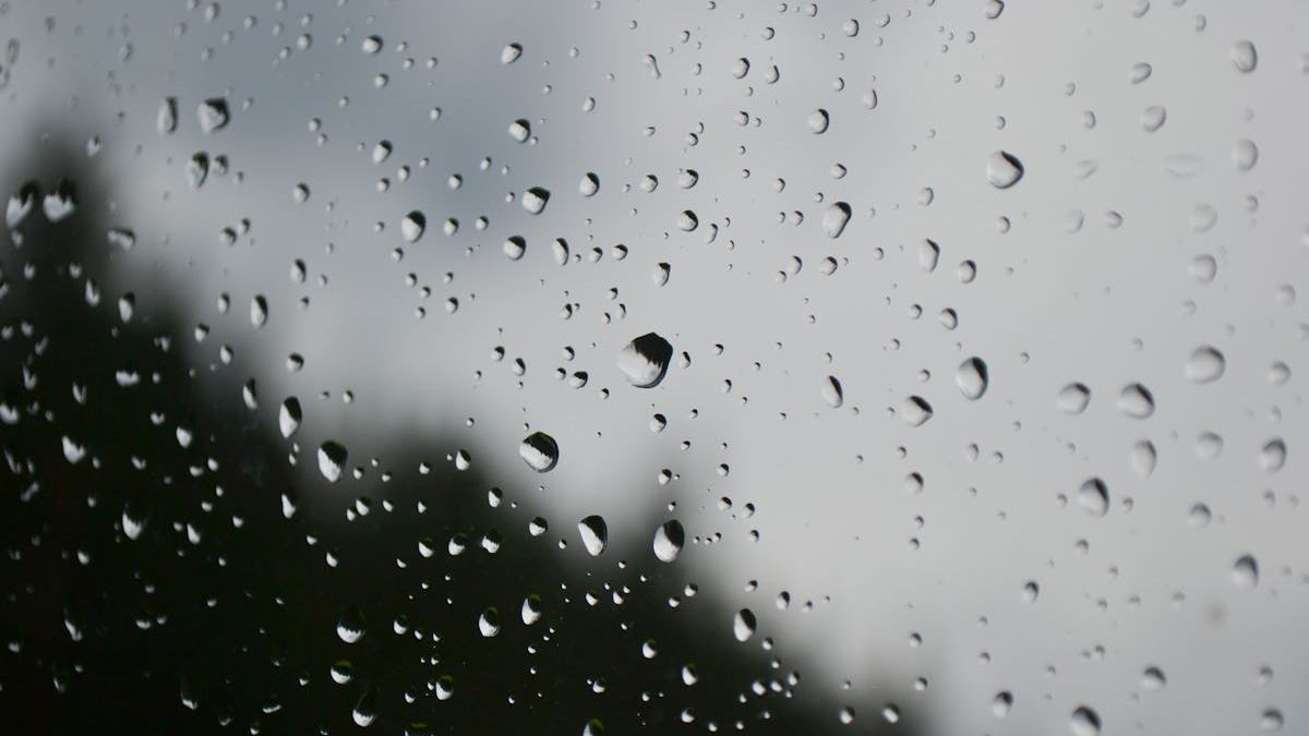 Discover Energy Efficient Window Upgrades That Save Money