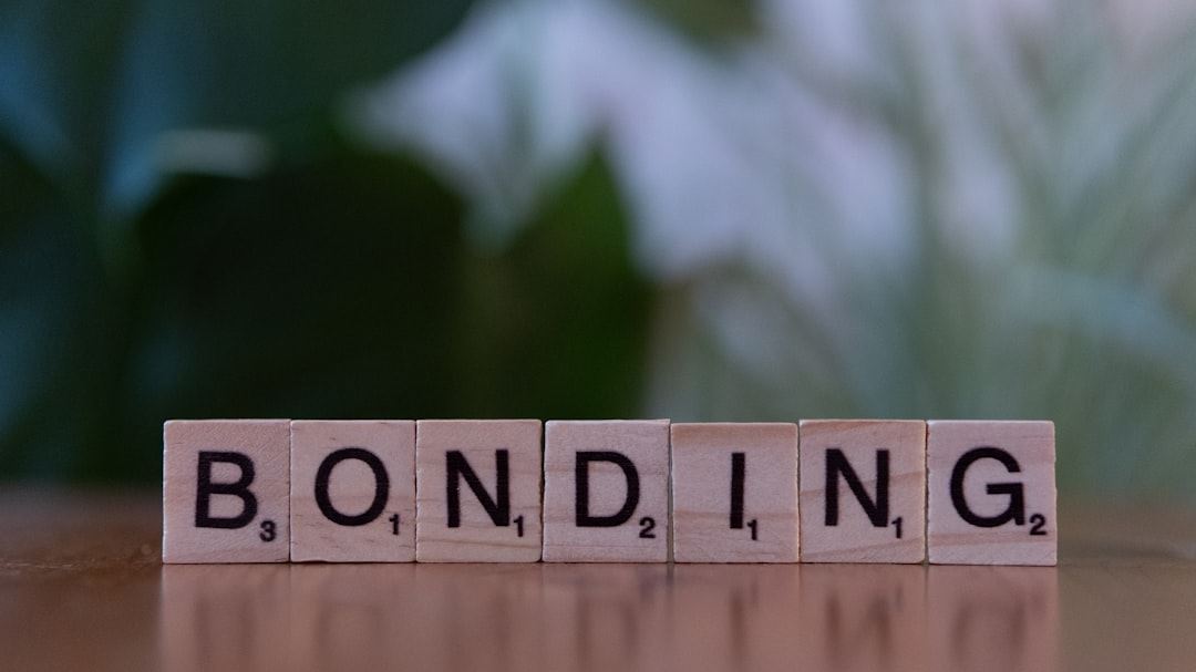 A Comprehensive Guide to Bond Investments: Building Stability and Income in Your Portfolio