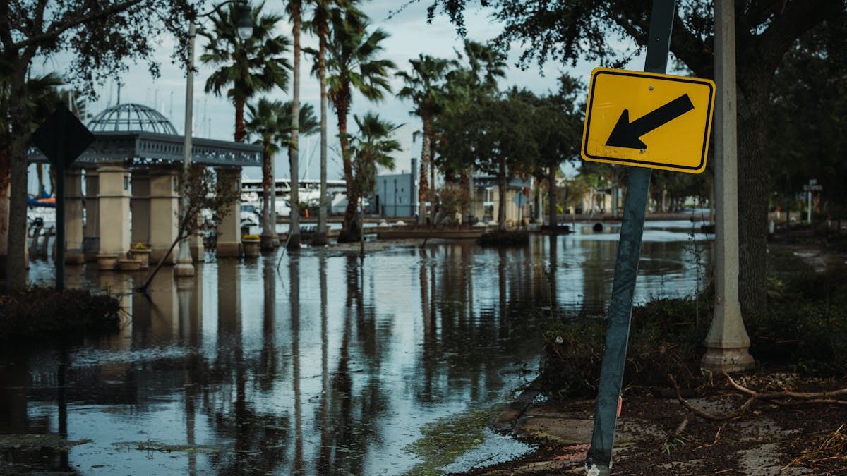 Comprehensive Guide to Basement Water Damage Restoration: Protecting Your Home and Investment
