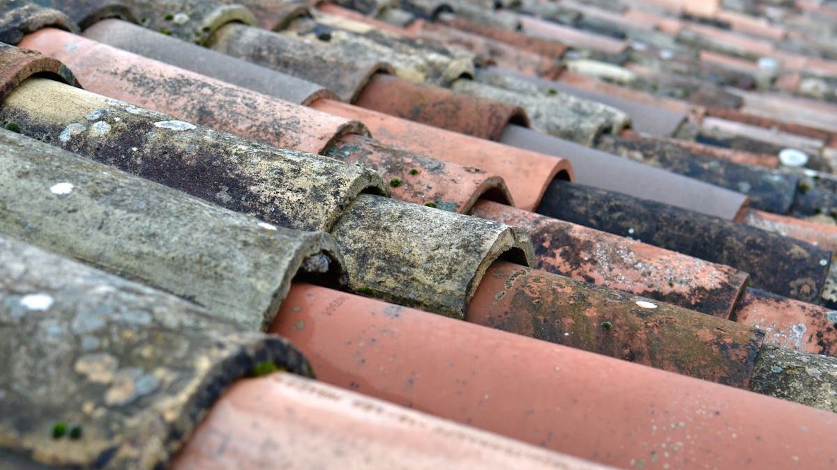 Understanding Shingles: Does Shingles Look Like What You Expect?