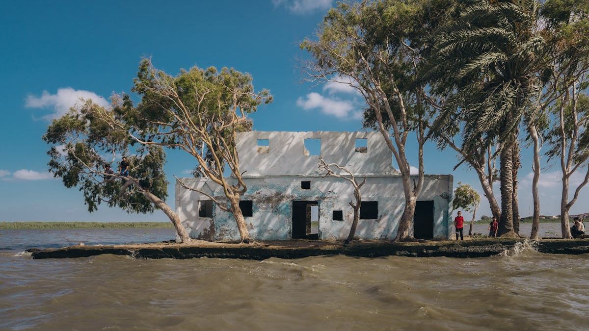 The Essential Role of Water Damage Restoration Services