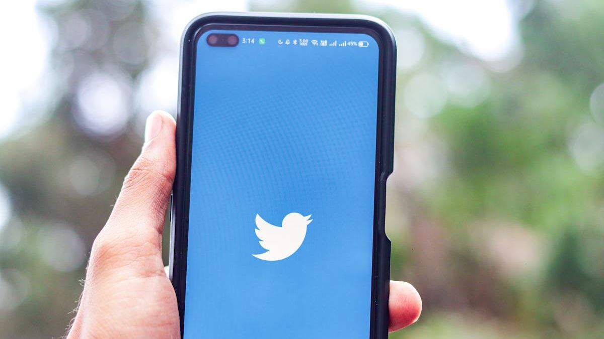 Maximizing Business Growth with Expert Online Advertising Services