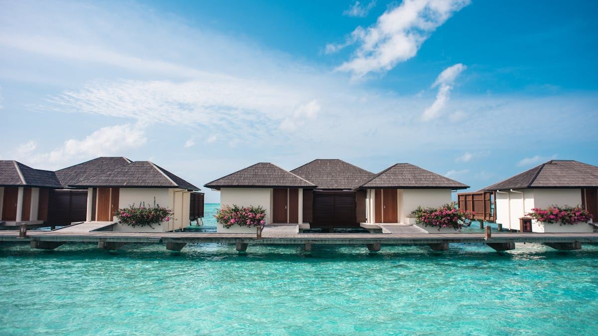Experience Unparalleled Elegance: The Ultimate Guide to Luxury Private Tours Services in the United States