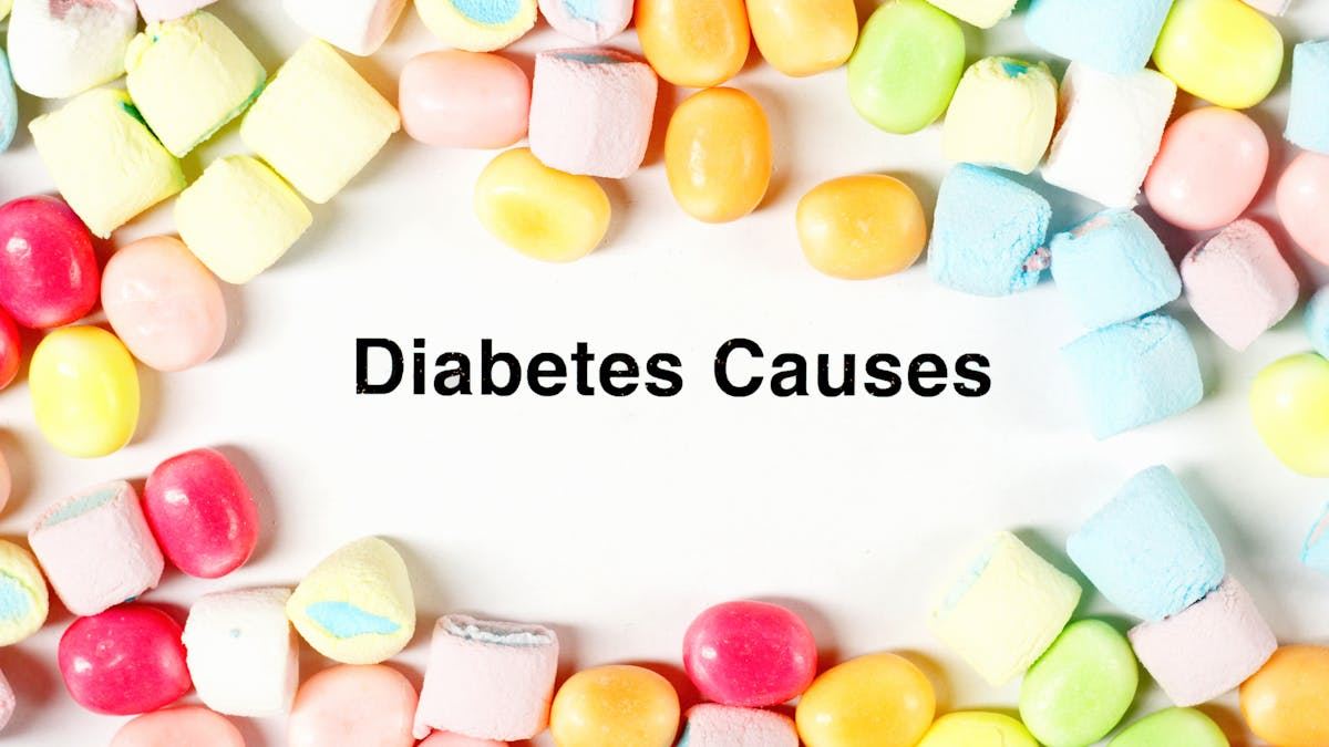 Understanding Creatinine Levels They Mean: A Comprehensive Guide to Kidney Function