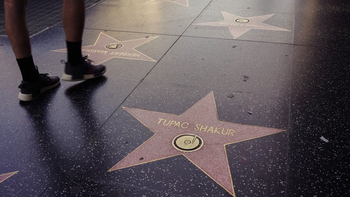 Discover the Best Sightseeing Tours in the United States: An Essential Guide for Travelers