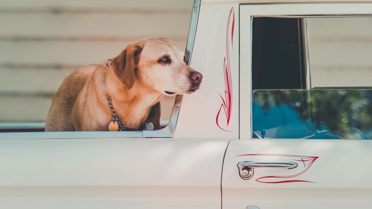 Comprehensive Guide to Insurance Quotes Florida Car: Securing the Best Coverage for Your Vehicle
