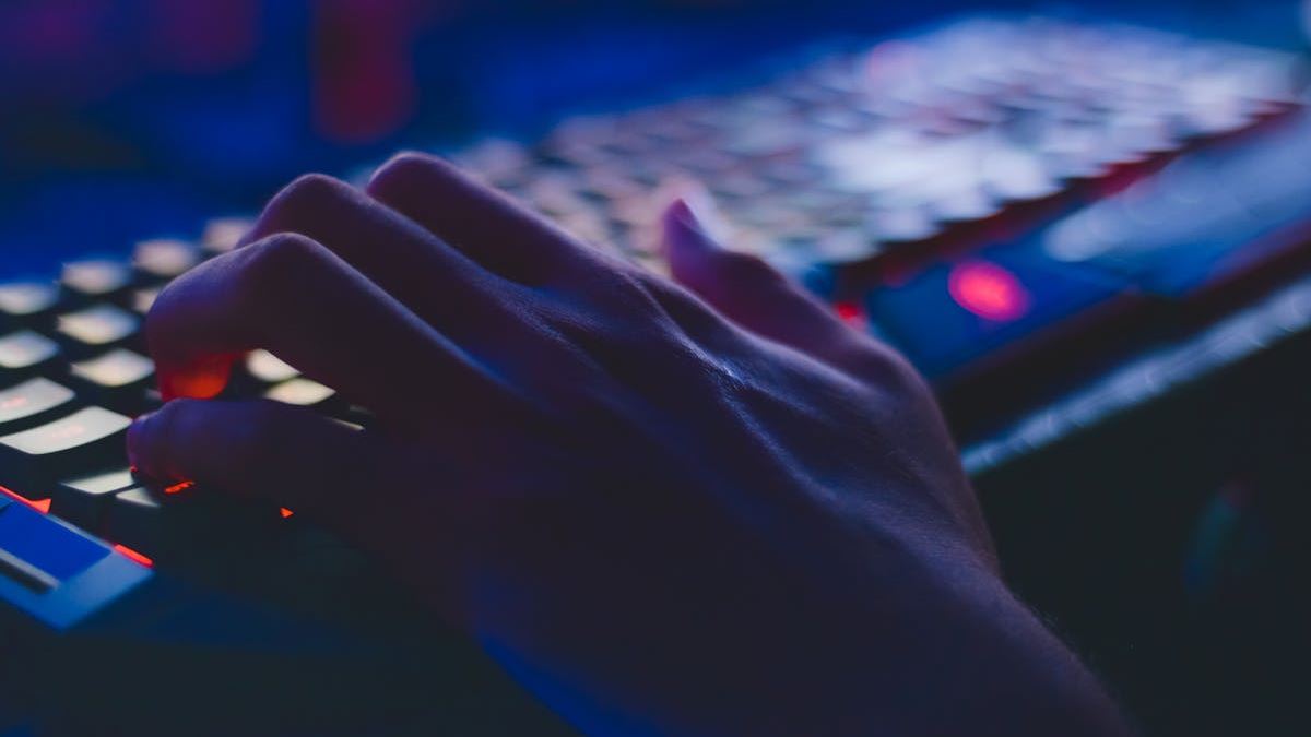 Comprehensive Guide to Choosing the Best Cyber Security Schools Online in the United States