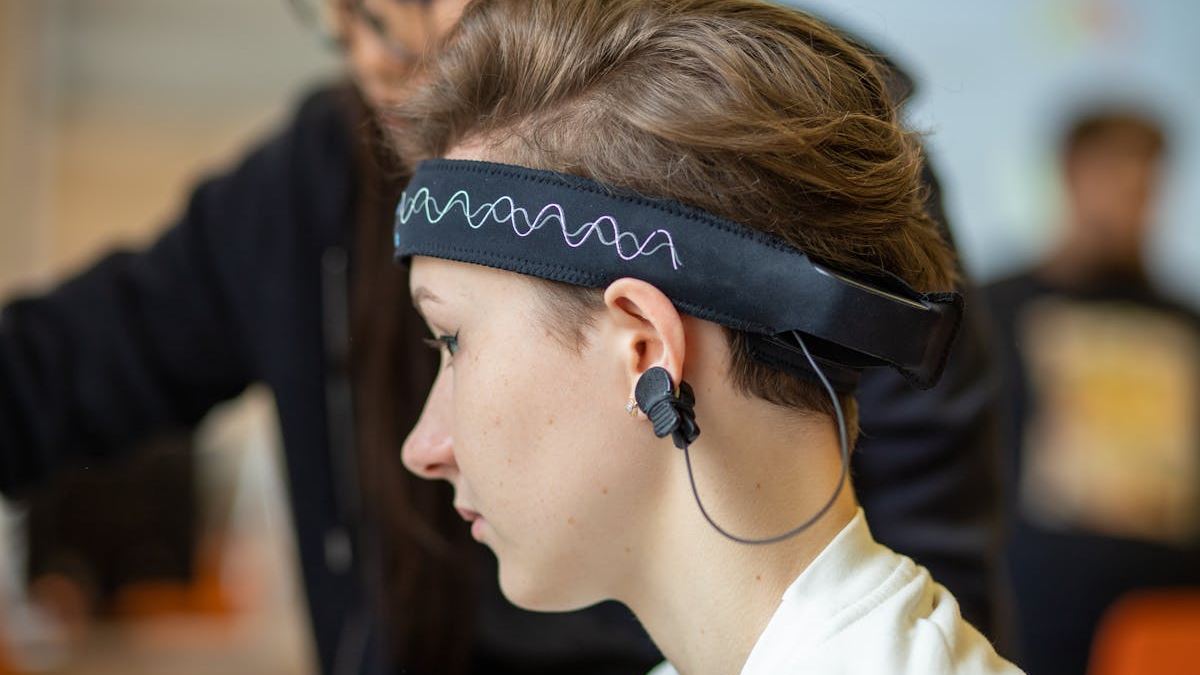 Exploring the UCLA Neuroscience Graduate Program: A Comprehensive Guide for Prospective Students