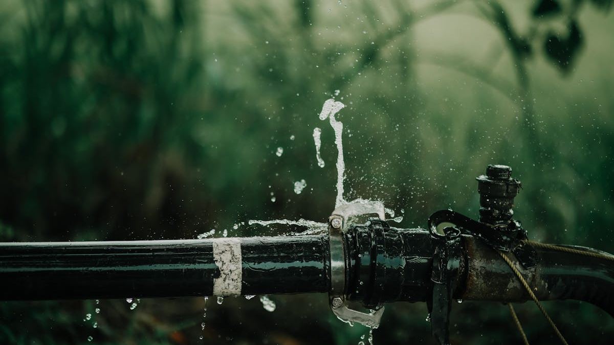 Comprehensive Guide to Water Leak Repair: Protecting Your Home and Saving Money