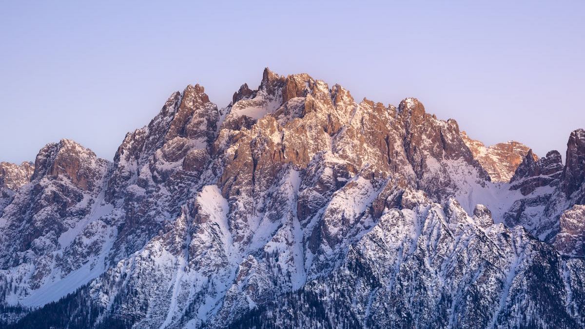 Unlocking the Potential of Vanguard Top ETFs: Your Comprehensive Guide to Smart Investing