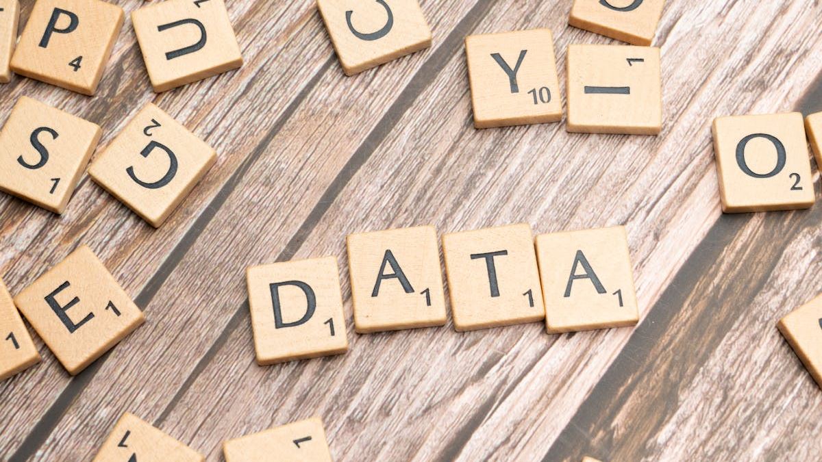Leveraging Customer Data Management Tools for Business Growth: A Comprehensive Guide